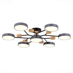 Потолочная люстра Evoluce Faema SLE6006-702-07