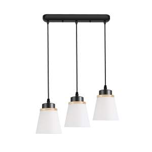 Светильник подвесной ЭкономСвет 30136 30136/3L BK WT+WD