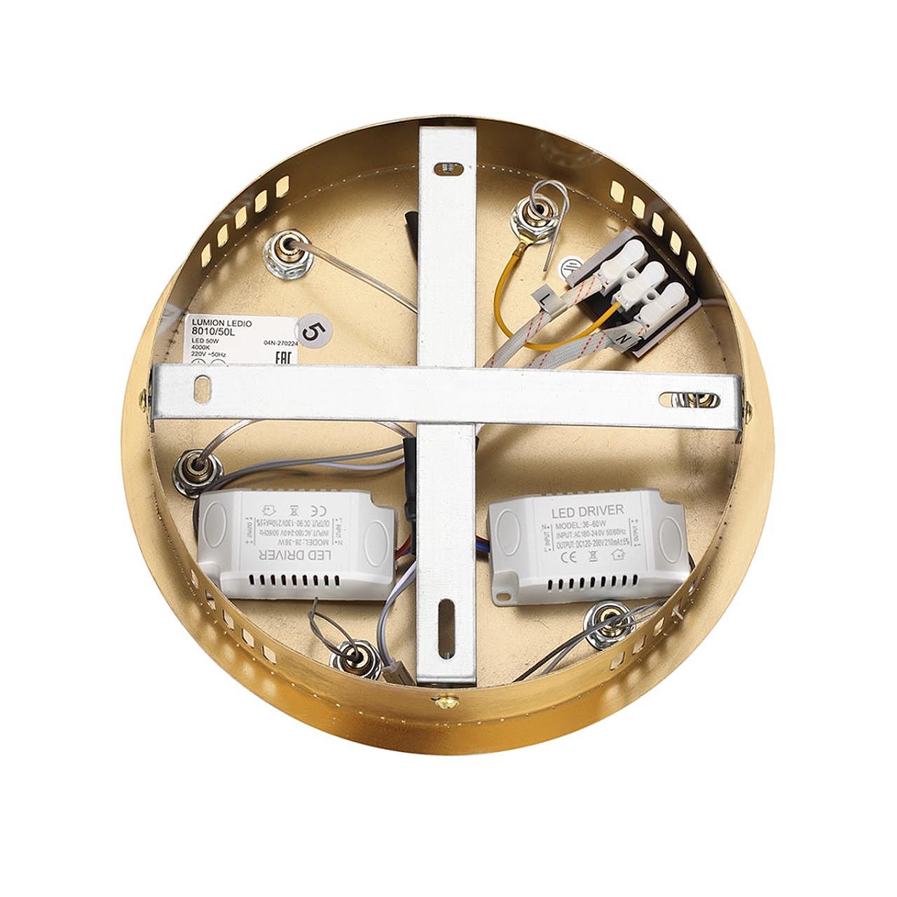 Подвесная люстра Lumion Twinkle 8010/50L