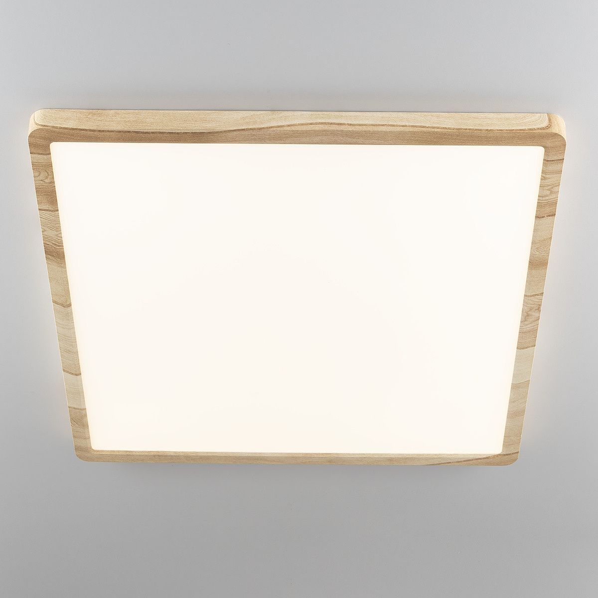 Светильник потолочный Citilux Бейсик CL738K502V