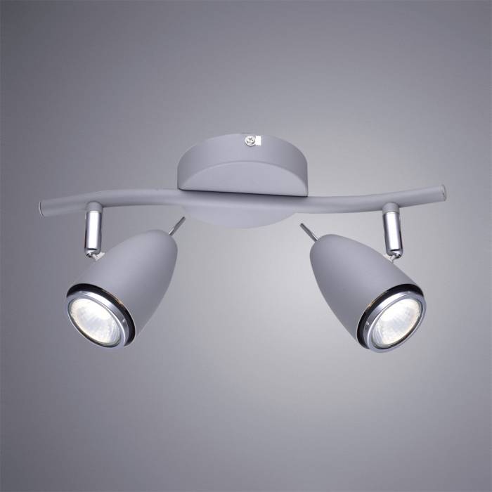 Светильник спот Arte Lamp Regista A1966AP-2GY Светильник спот Arte Lamp Regista A1966AP-2GY