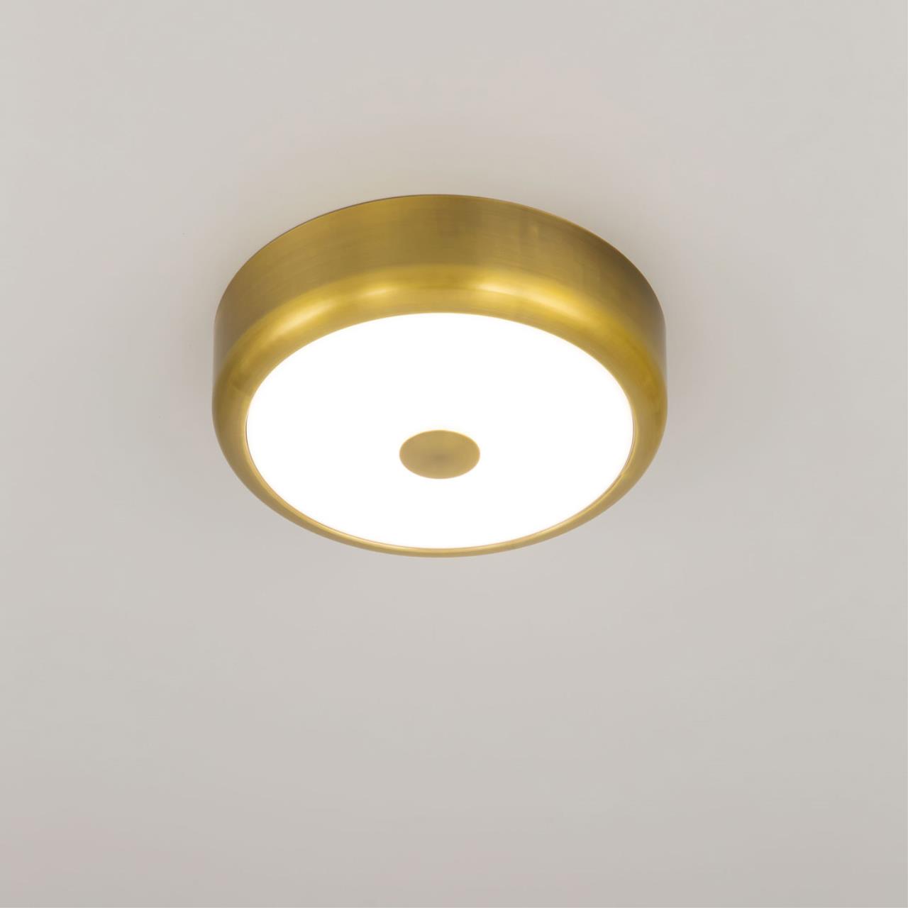 Потолочный светодиодный светильник Citilux Фостер-1 CL706112