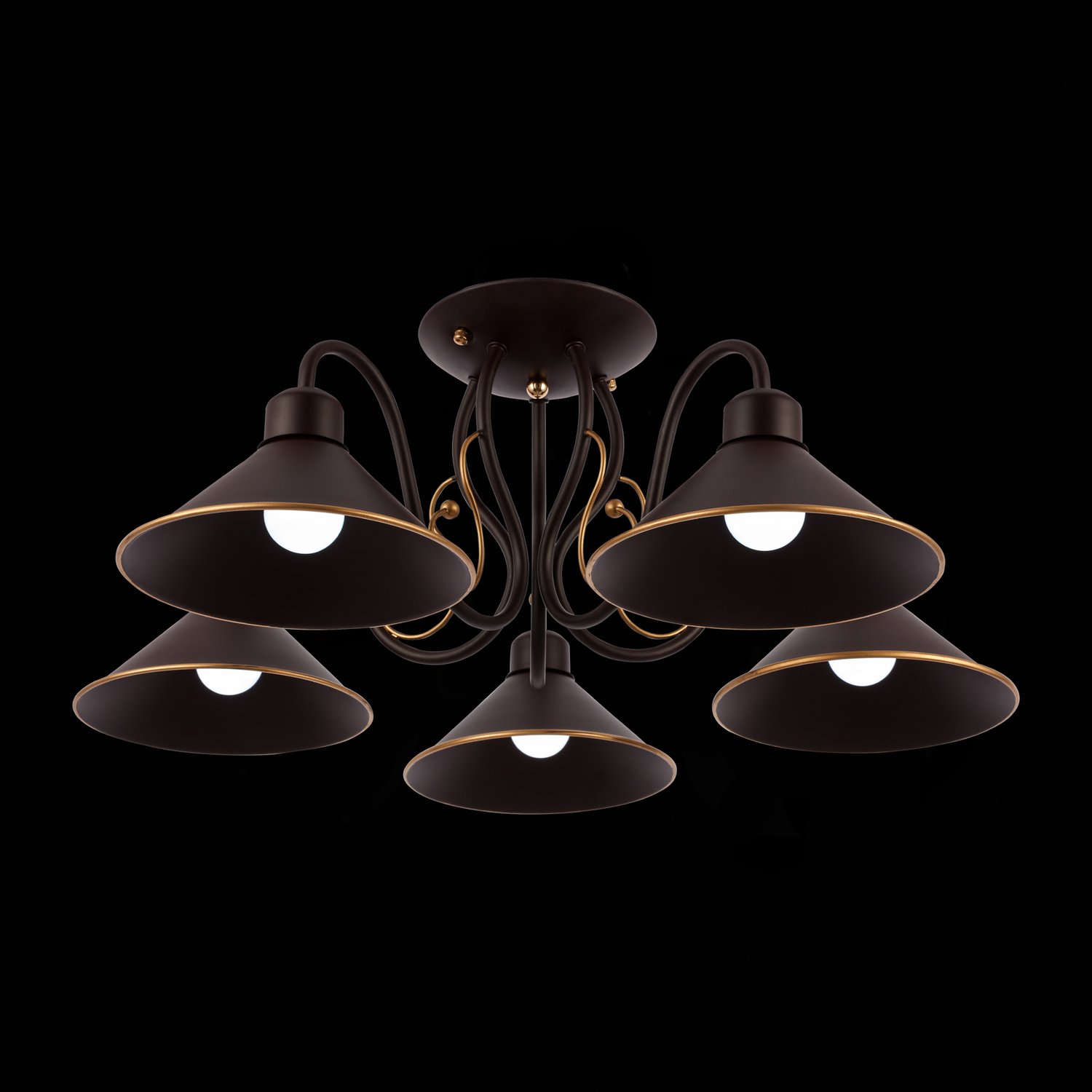 Потолочная люстра Evoluce Ciolla SLE120402-05 Потолочная люстра Evoluce Ciolla SLE120402-05