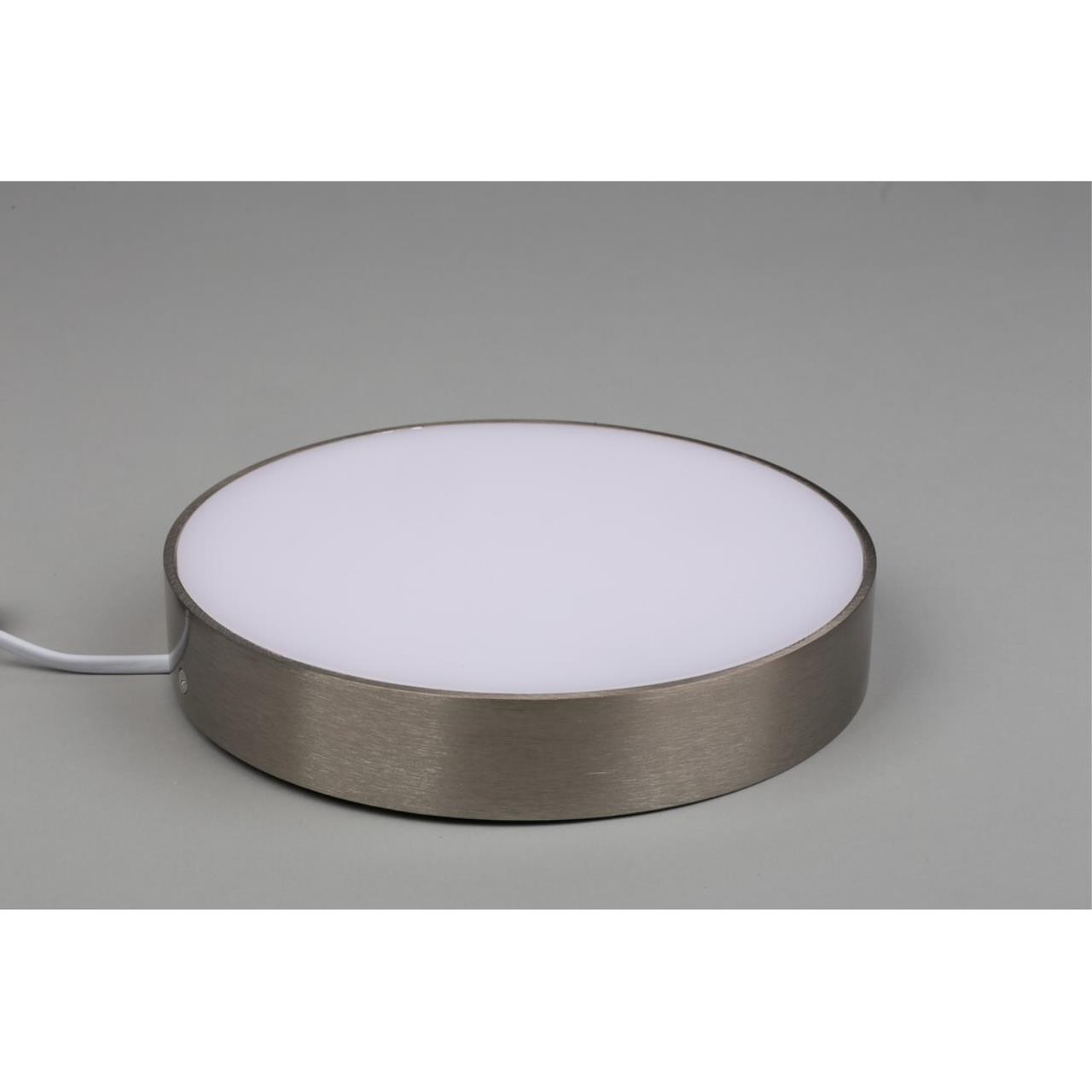 Светильник потолочный Aployt Evon APL.0114.19.24