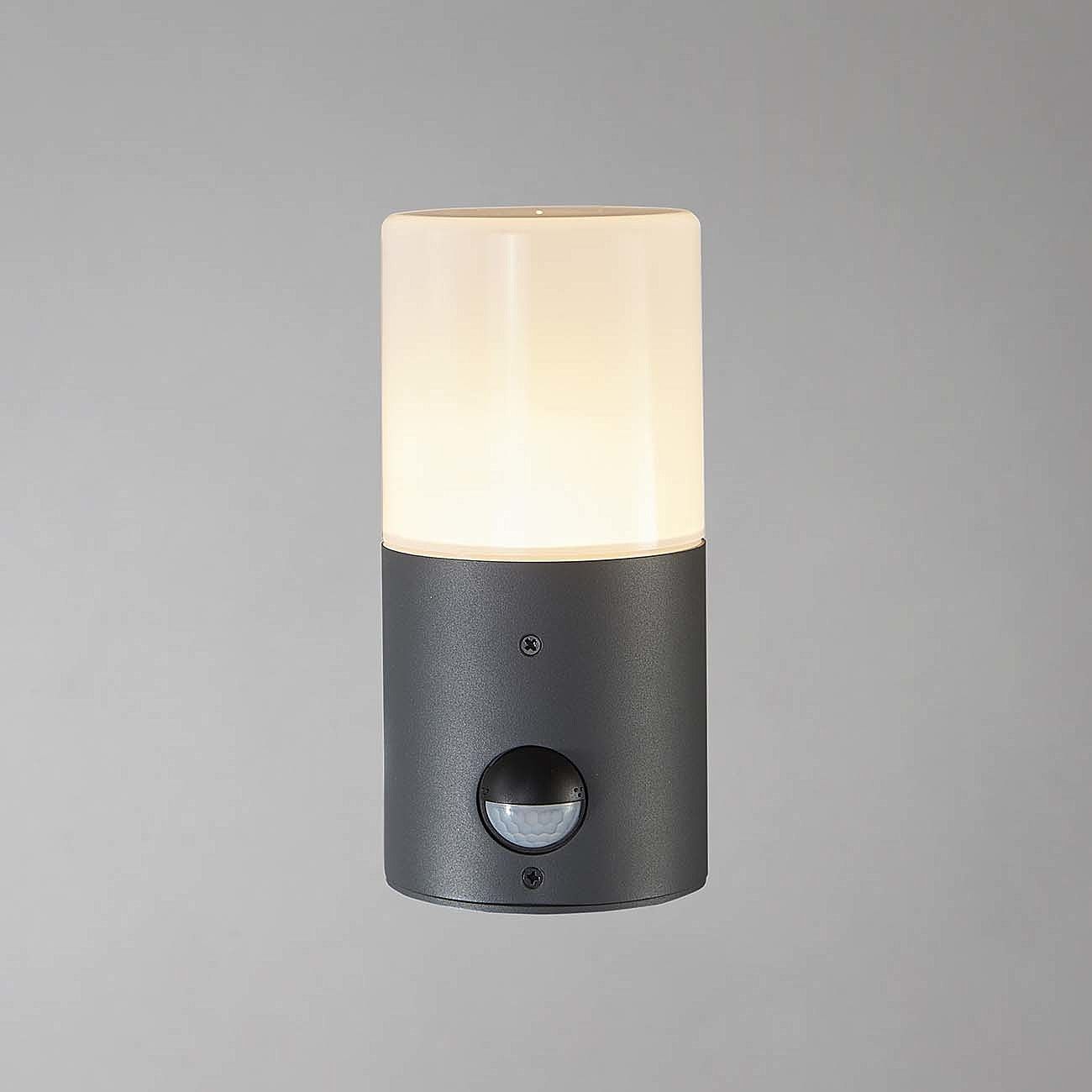 Уличный настенный светильник Escada Pair 581/1A