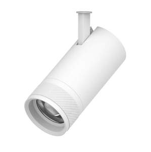 Светильник профессиональный тушка BARRA/QUATTRO Lightstar Canno Pro 304306