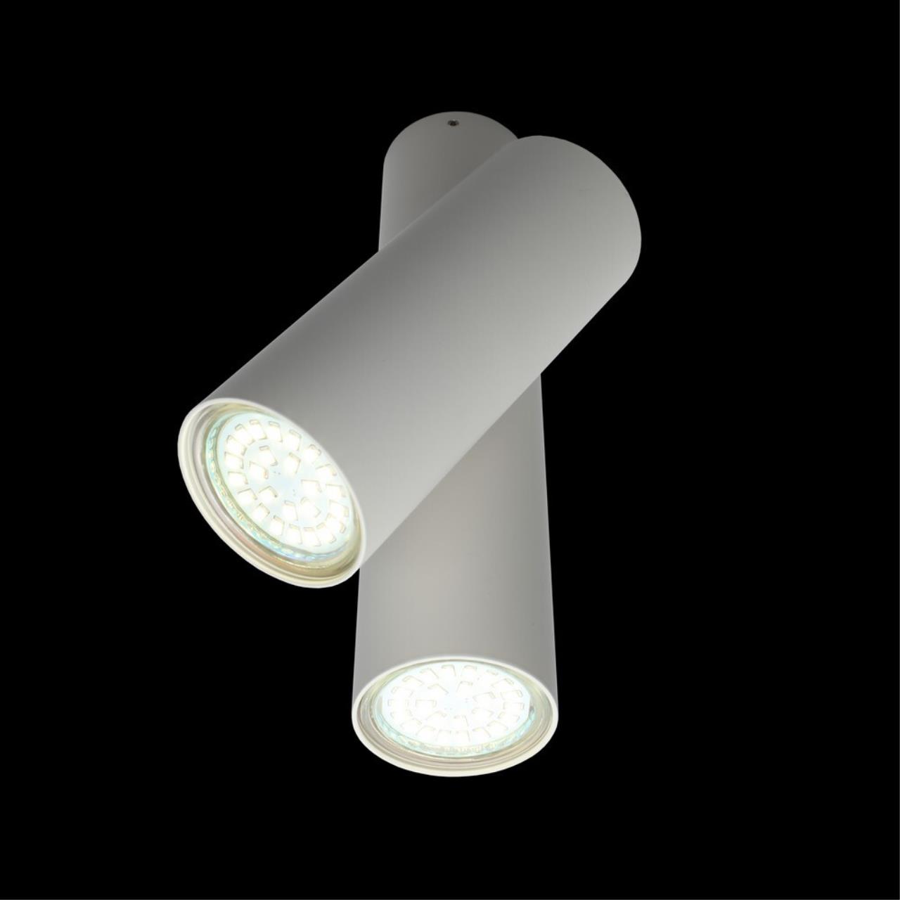 Светильник спот Aployt Aksel APL.006.02.02