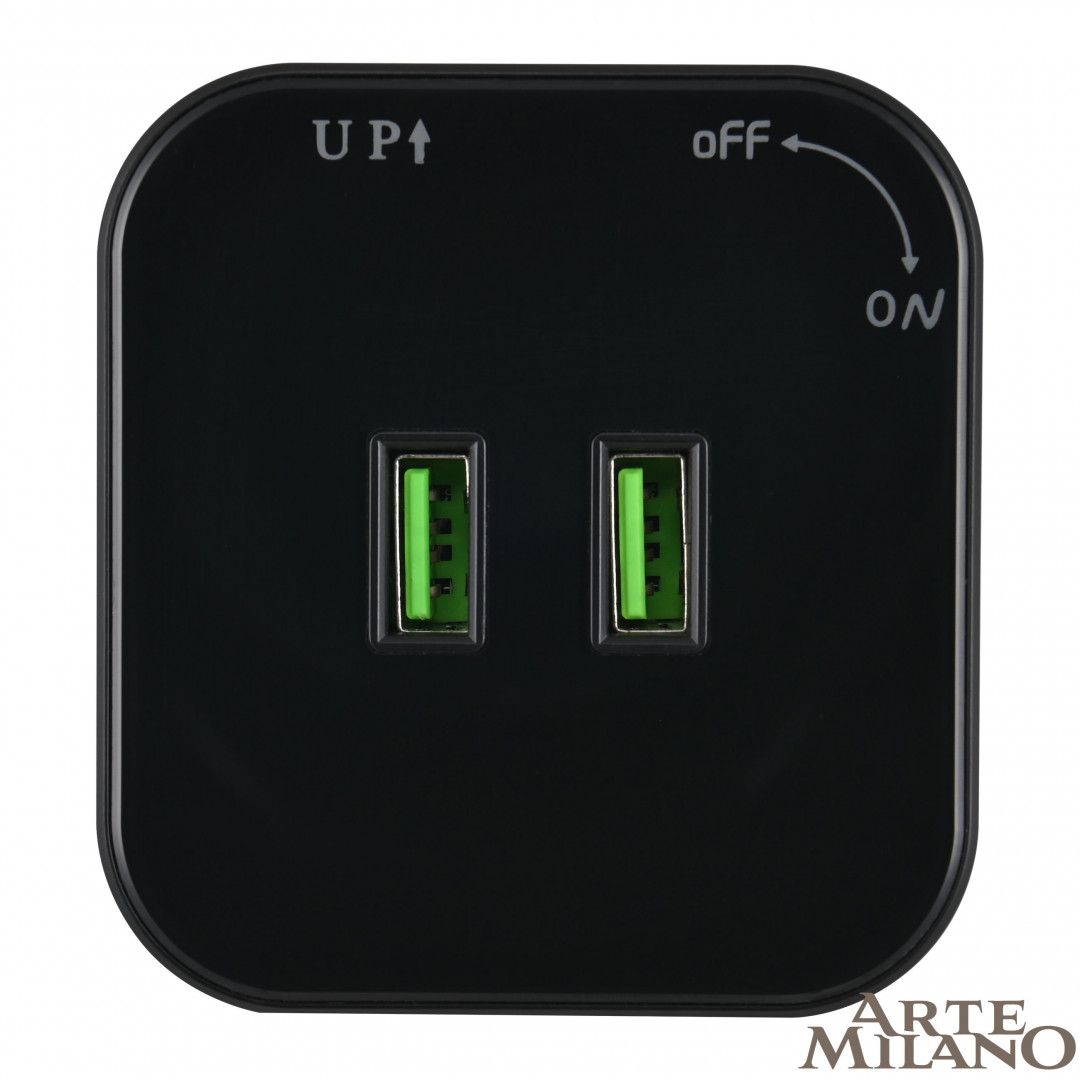 Трековая розетка Arte Milano Am-track-sockets 380022TS/USBx2 Black