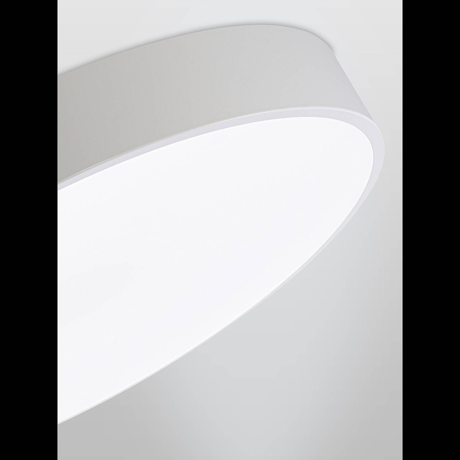 Светильник потолочный Natali Kovaltseva Modern LED LAMPS 81105/2C