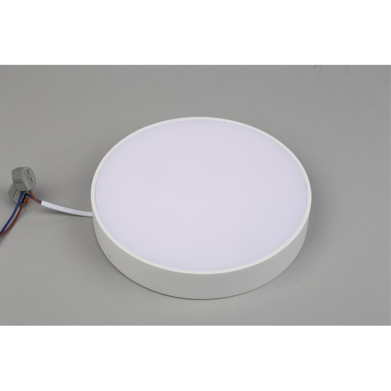 Светильник потолочный Aployt Evon APL.0113.09.24