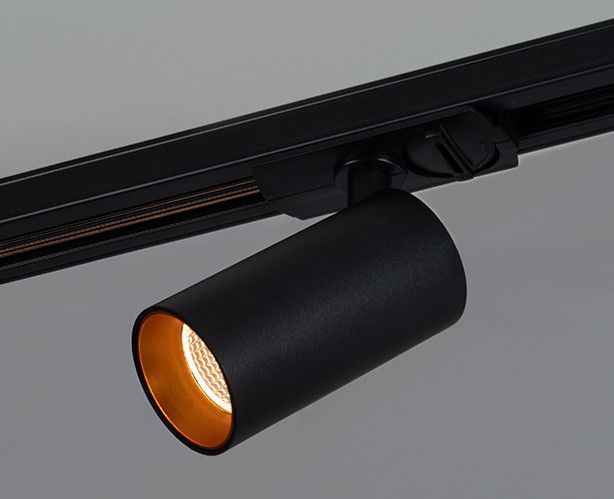 Внутренняя сменная вставка для светильника TR 3006 Italline Largo mini Ring for 10W gold