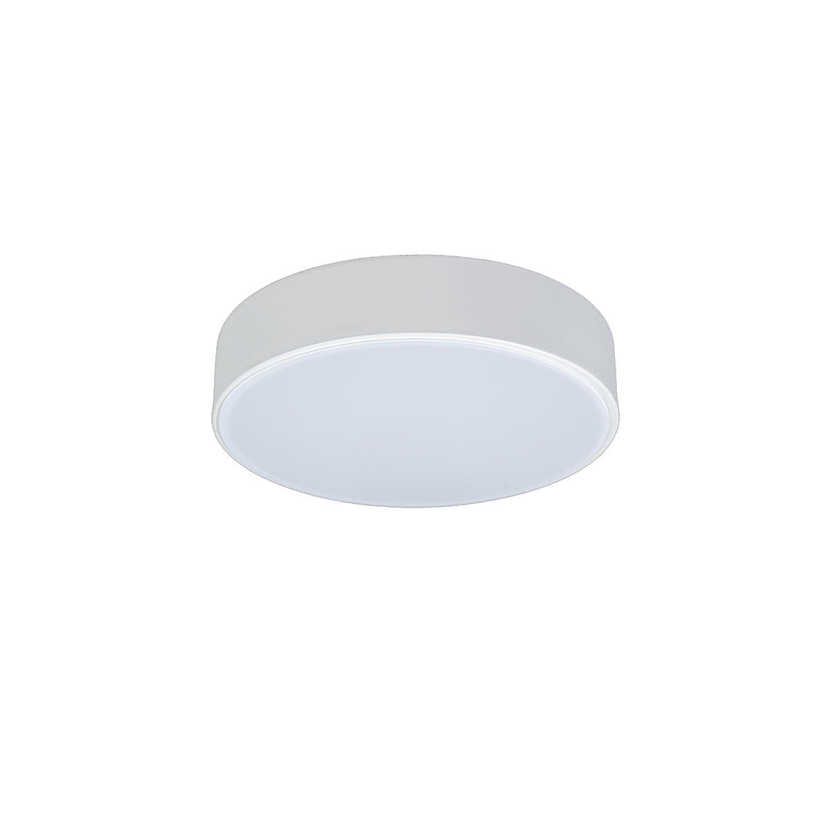 Светильник потолочный Loft It Axel 10002/12 White Светильник потолочный Loft It Axel 10002/12 White