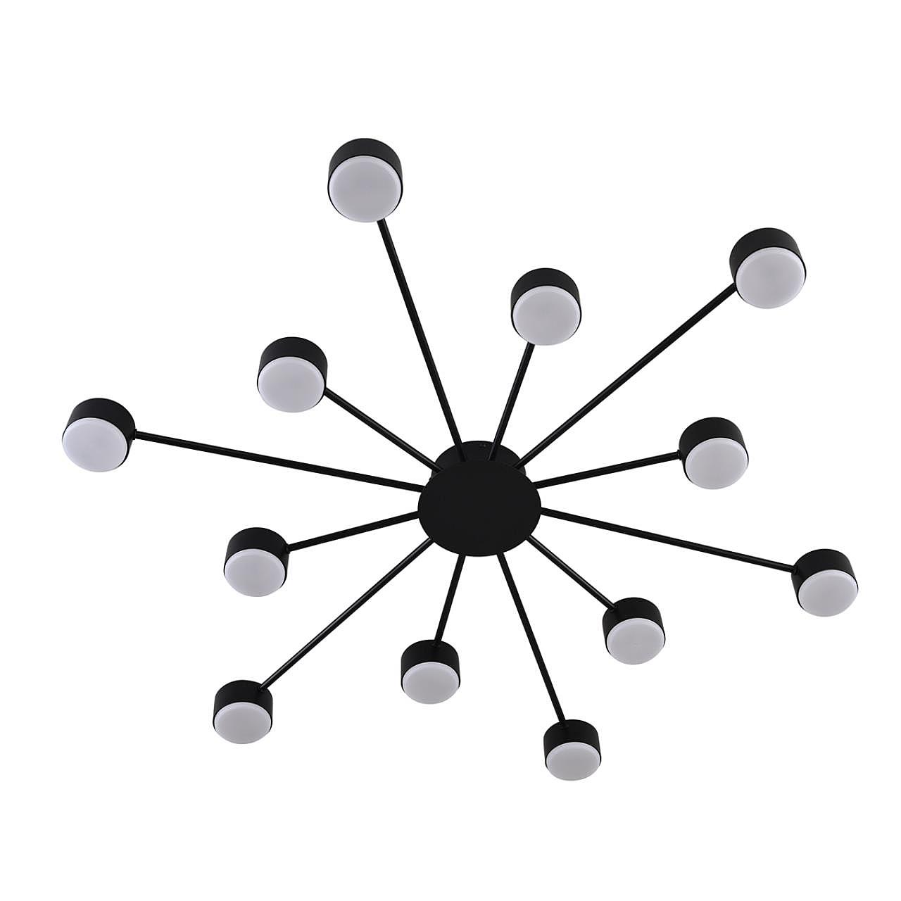 Потолочная люстра Lumion Torina 8344/12C Потолочная люстра Lumion Torina 8344/12C