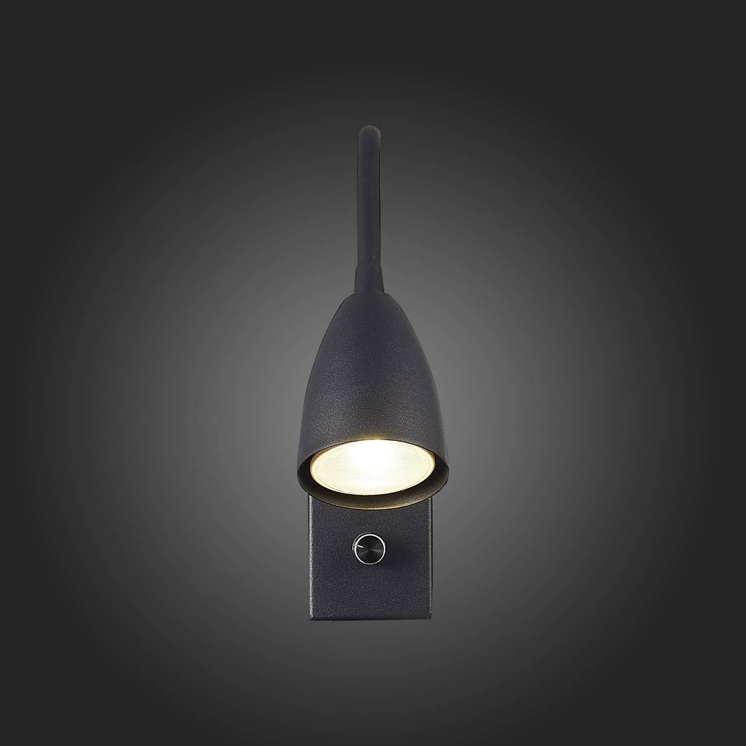 Настенный светильник ST Luce Amio SL1014.401.01