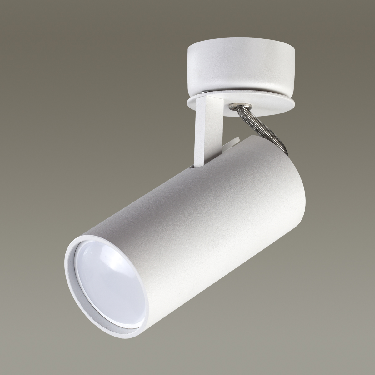Светильник спот Odeon Light Corse 3873/1C Светильник спот Odeon Light Corse 3873/1C