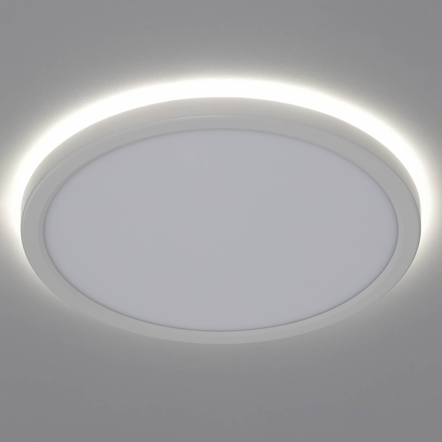 Светильник потолочный Citilux Basic Line CL738240EL