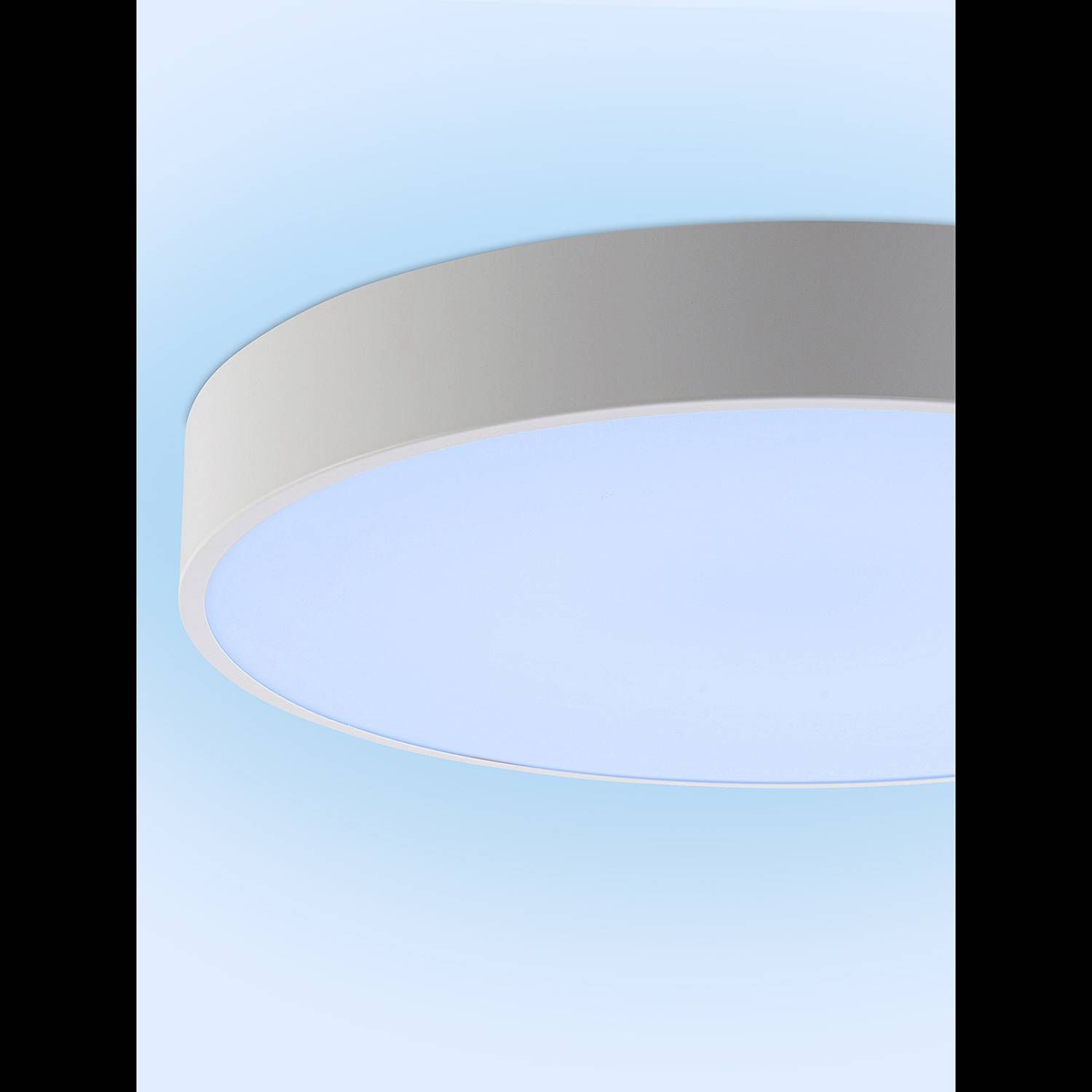 Светильник потолочный Natali Kovaltseva Modern LED LAMPS 81105/2C