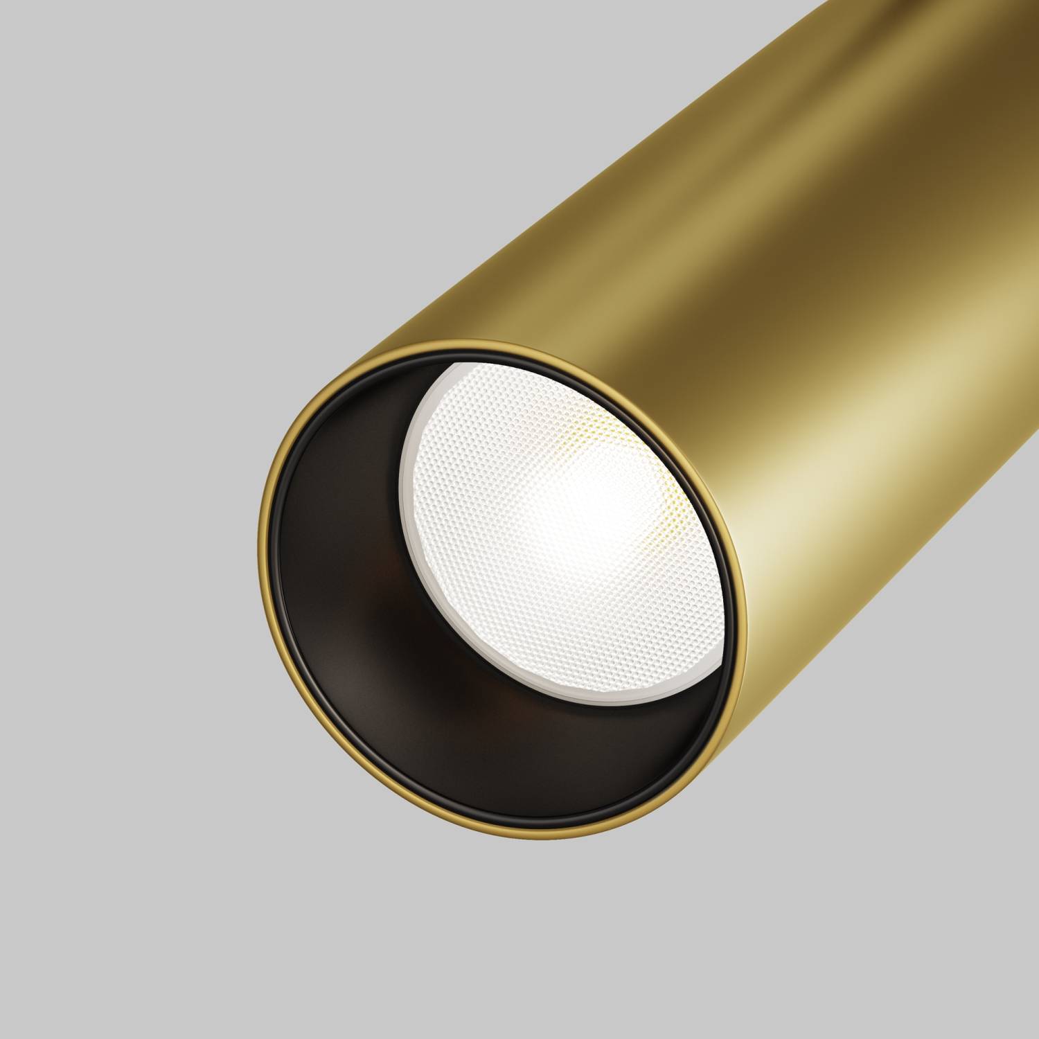 Трековый светильник Maytoni Focus LED Exility TR032-2-12W4K-S-MG