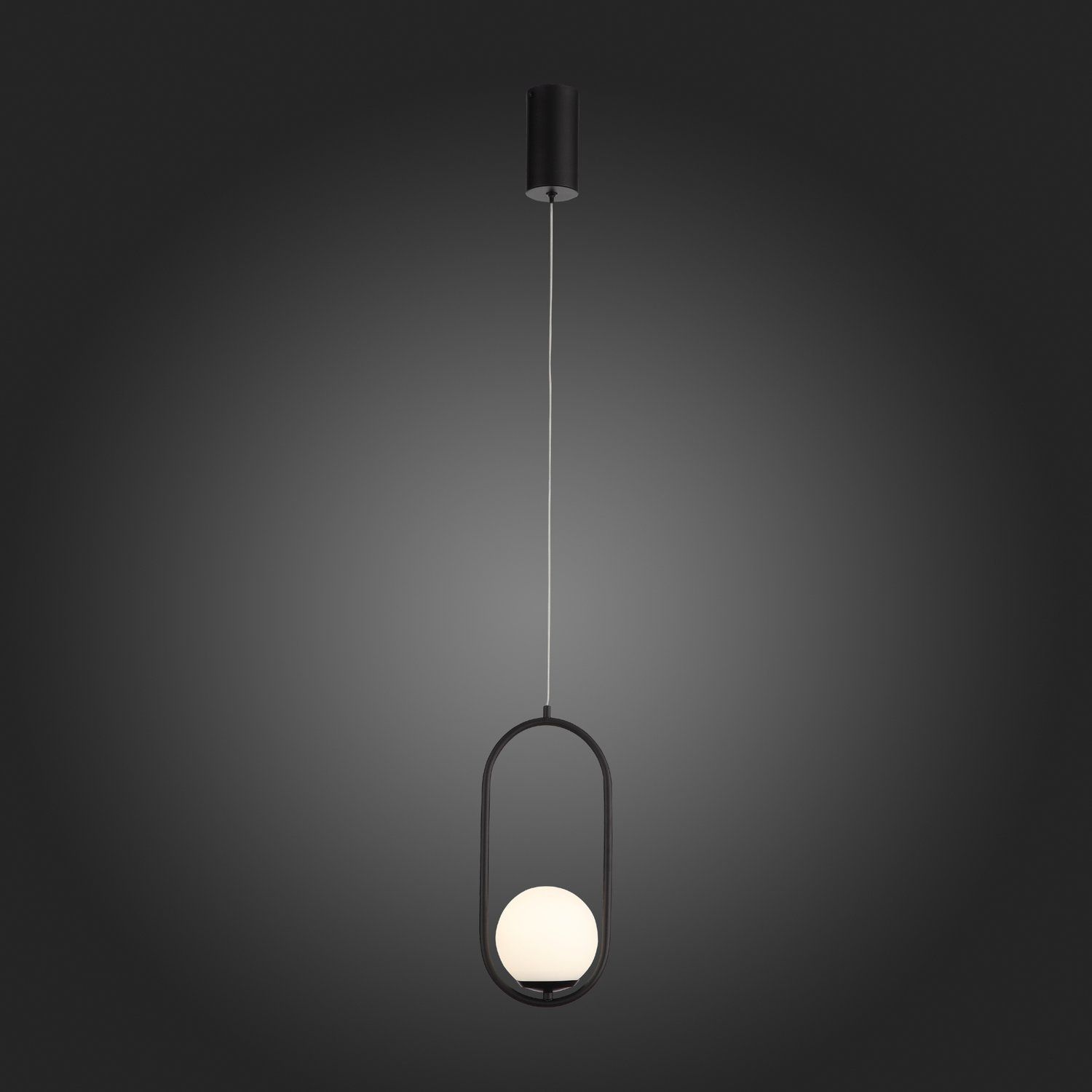 Светильник подвесной ST Luce Donolo SL395.403.01