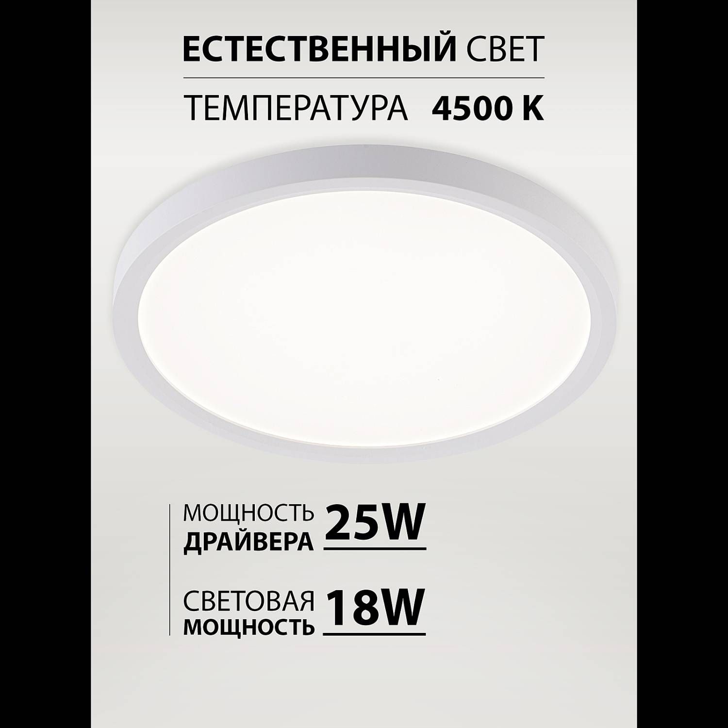 Светильник потолочный Natali Kovaltseva Plain LED LAMPS 81113/2C
