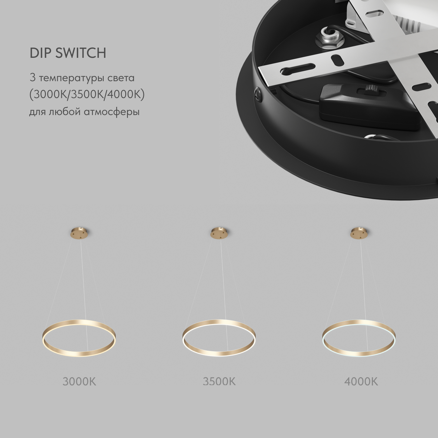 Подвесная люстра Denkirs Raydia DK6272-SG