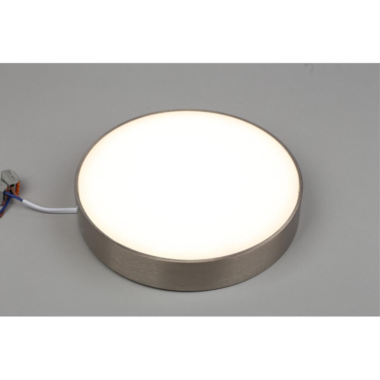 Светильник потолочный Aployt Evon APL.0114.19.24