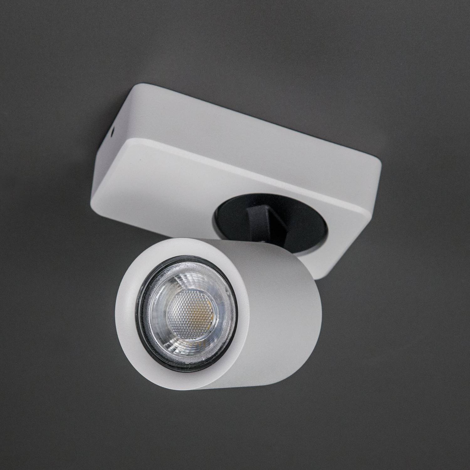 Светильник спот Citilux Норман CL533510