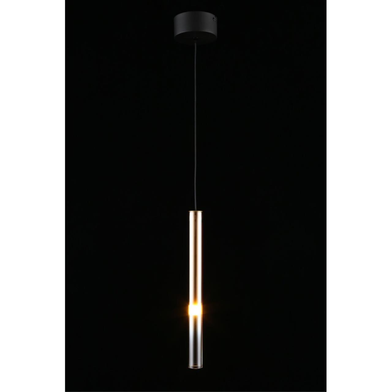 Светильник подвесной Aployt Silveyn APL.059.06.04