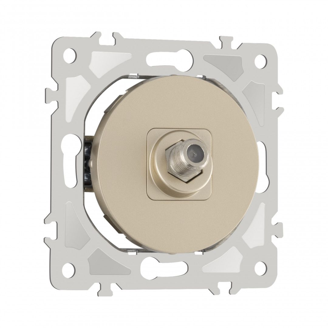 Розетка Arte Milano Am-202 202.42-1.shampan