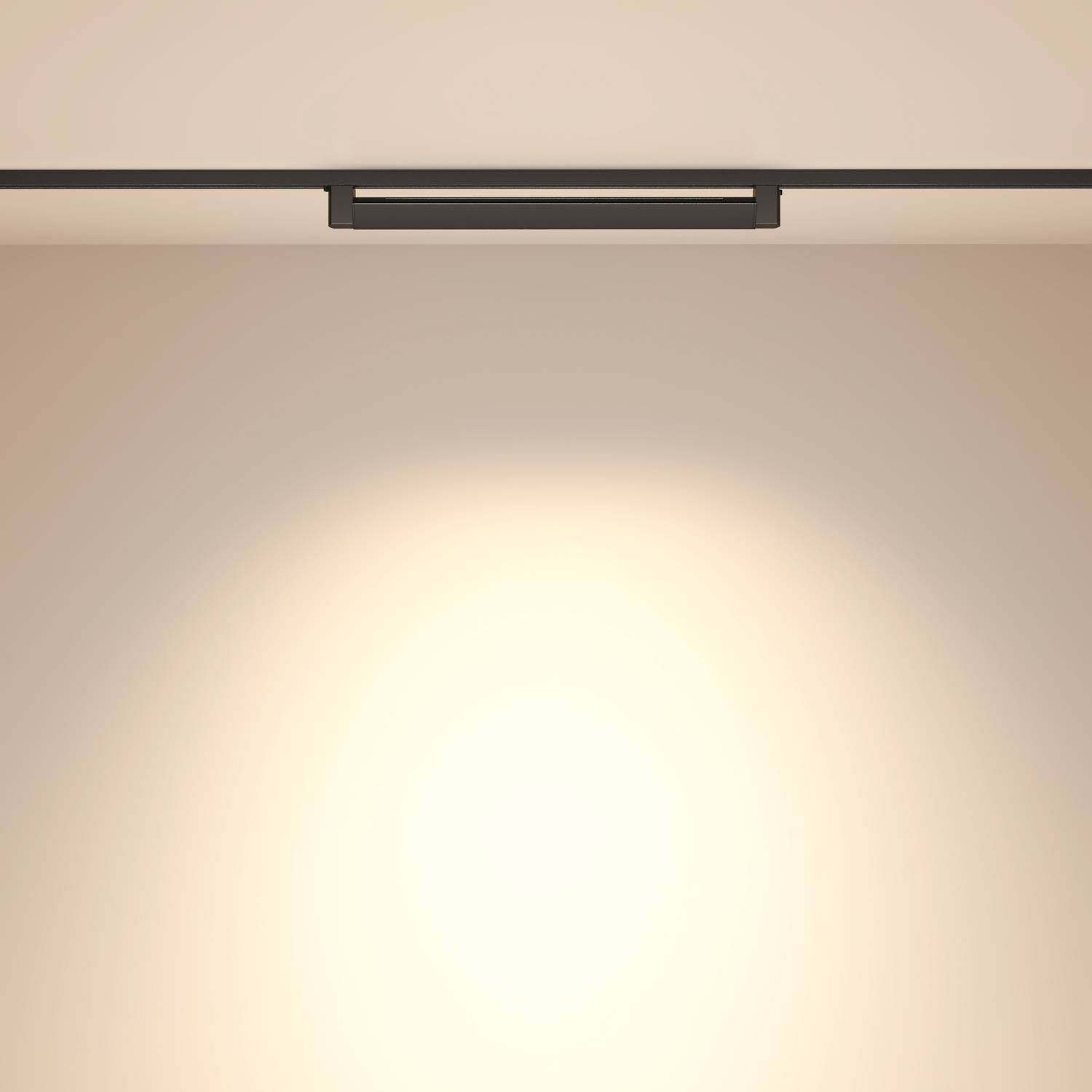 Трековый светильник Maytoni Points Rot Unity TR010-1-20W3K-M-B