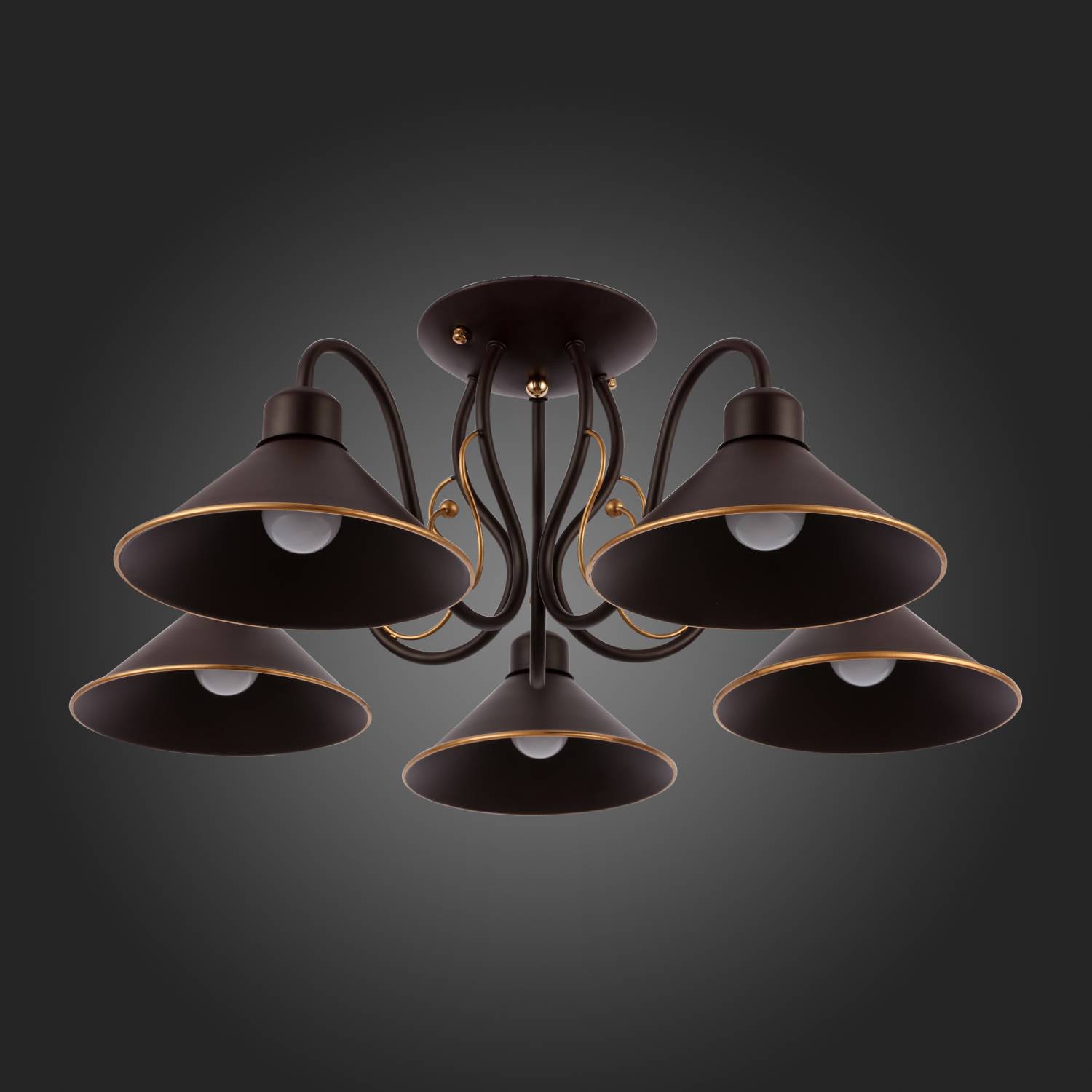 Потолочная люстра Evoluce Ciolla SLE120402-05 Потолочная люстра Evoluce Ciolla SLE120402-05