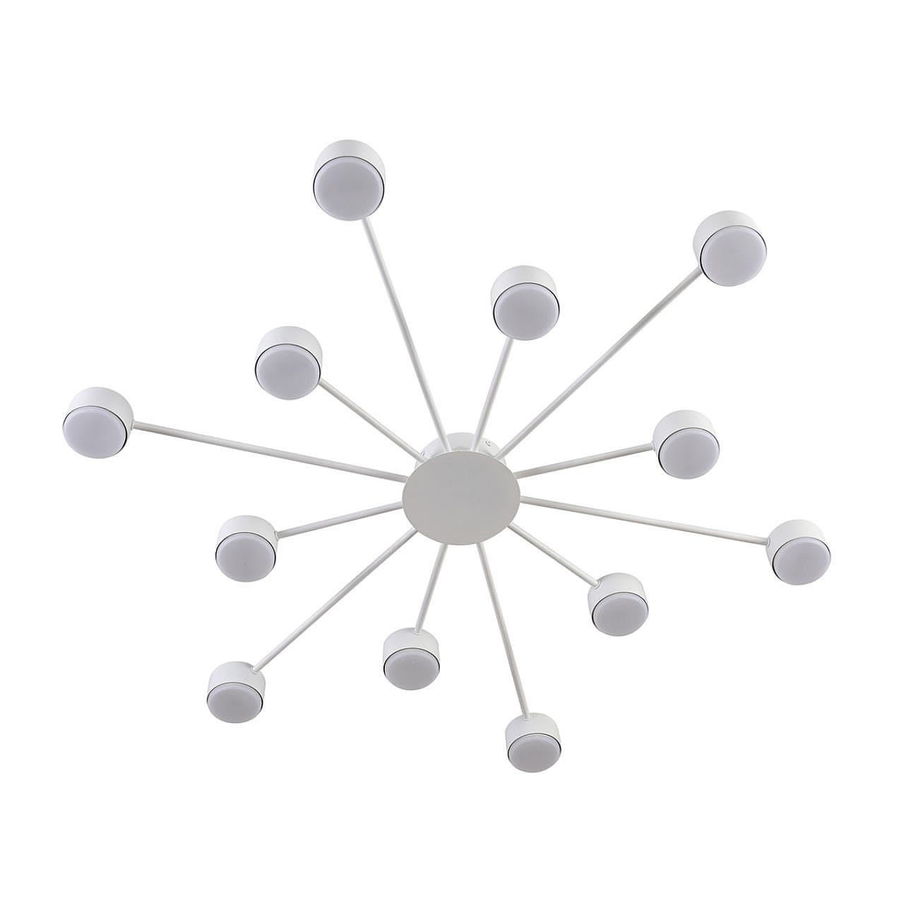Потолочная люстра Lumion Torina 8343/12C Потолочная люстра Lumion Torina 8343/12C