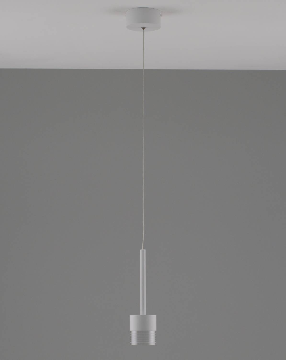 Светильник подвесной Moderli Self V10852-PL