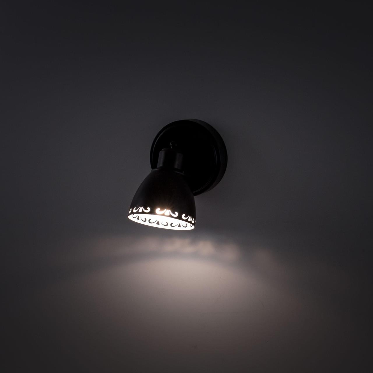 Светильник спот Citilux Робуста CL509512