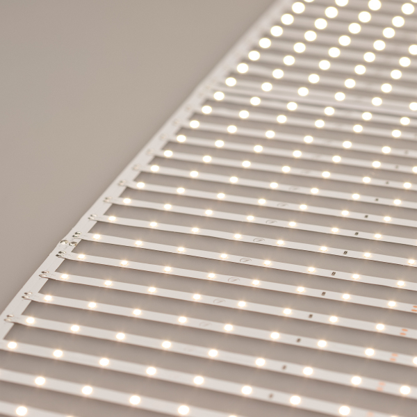 LED лента Arlight 027120