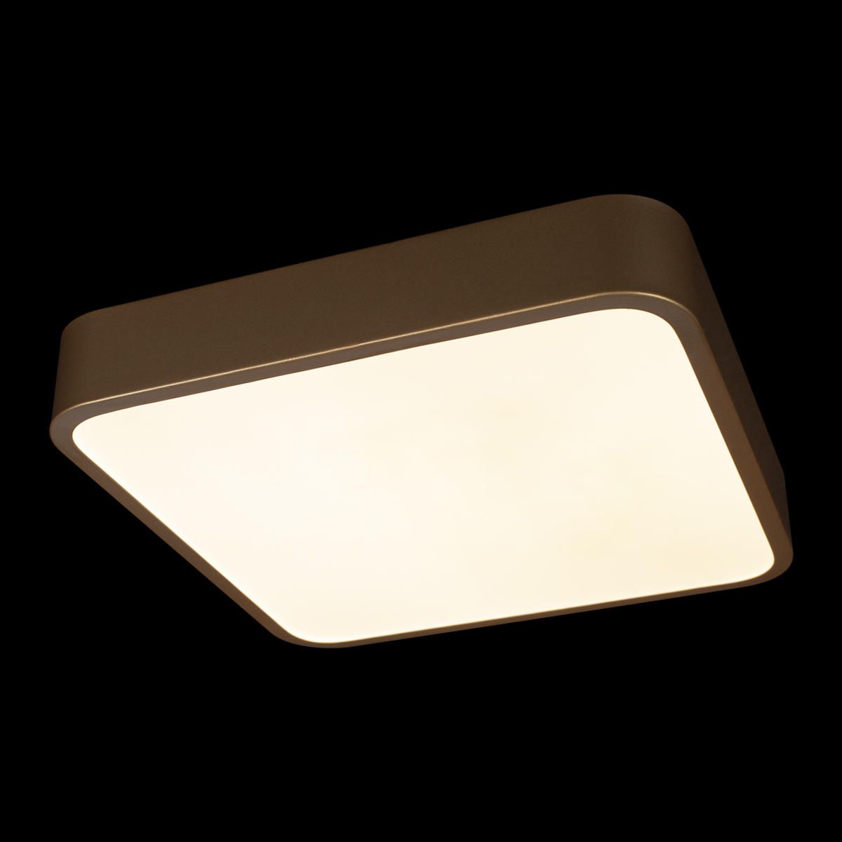 Светильник потолочный Loft It Flims 10228/C Светильник потолочный Loft It Flims 10228/C