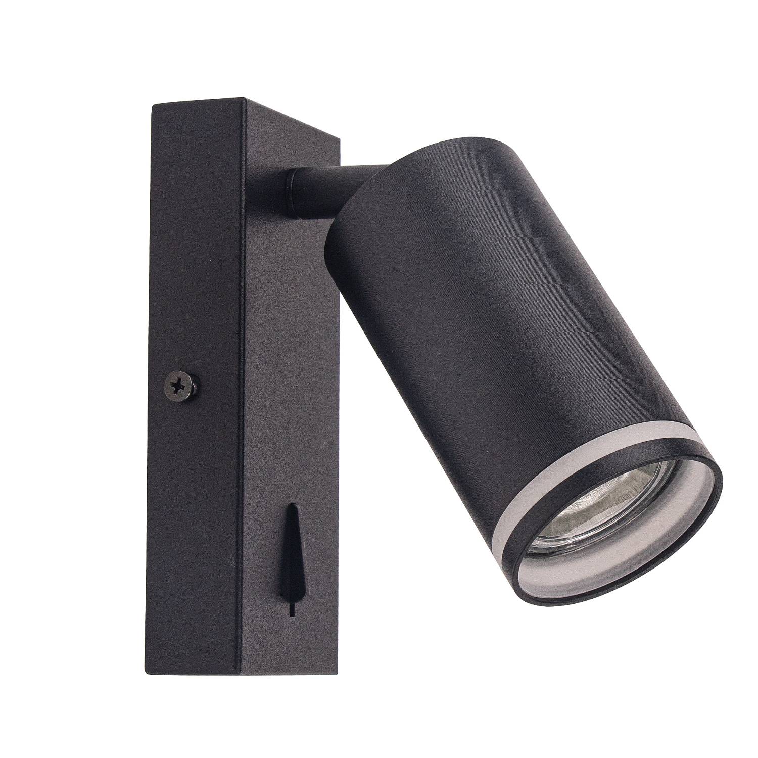 Светильник спот Brizzi Aras BR08080