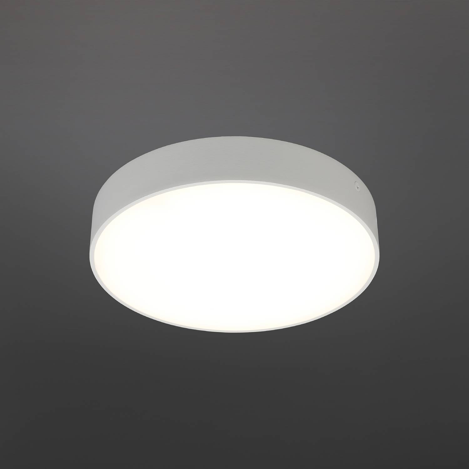 Светильник потолочный Aployt Evon APL.0114.09.24