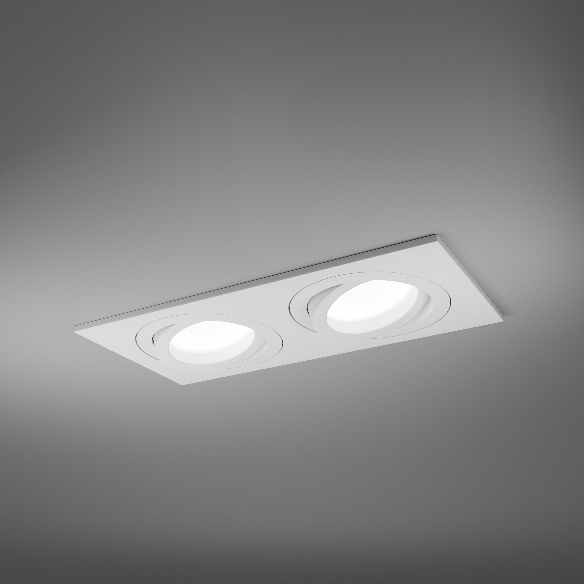 Встраиваемый светильник LIGHTERA Moon LE204RL-2W