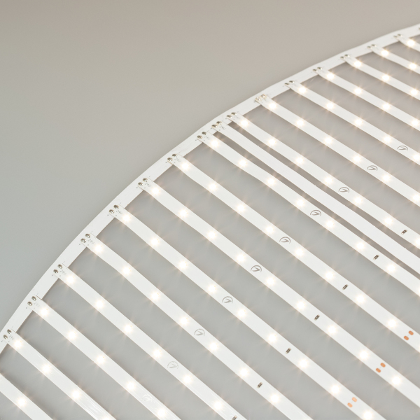 LED лента Arlight 027120