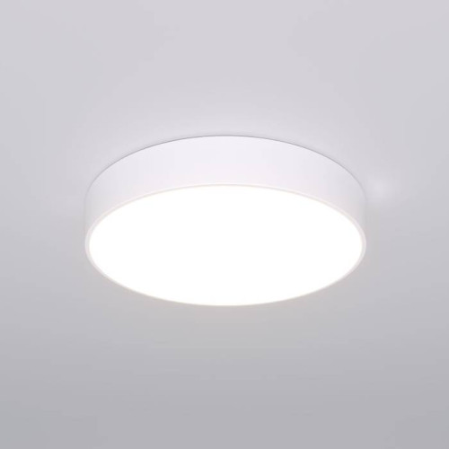 Светильник потолочный Eurosvet Entire 90319/1 белый