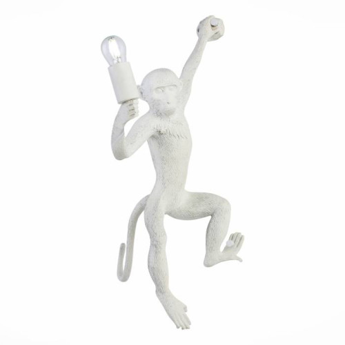 Настенное бра Evoluce Tenato SLE115111-01