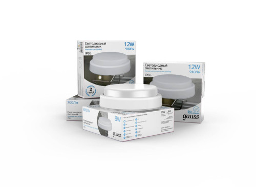 Светильник потолочный Gauss Universal IP65 126411315