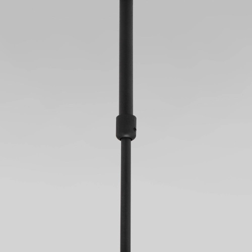 Светильник потолочный Eurosvet Pacific 50255/1 черный