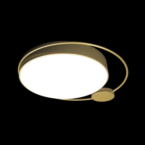 Потолочная люстра Loft It Mike 10063