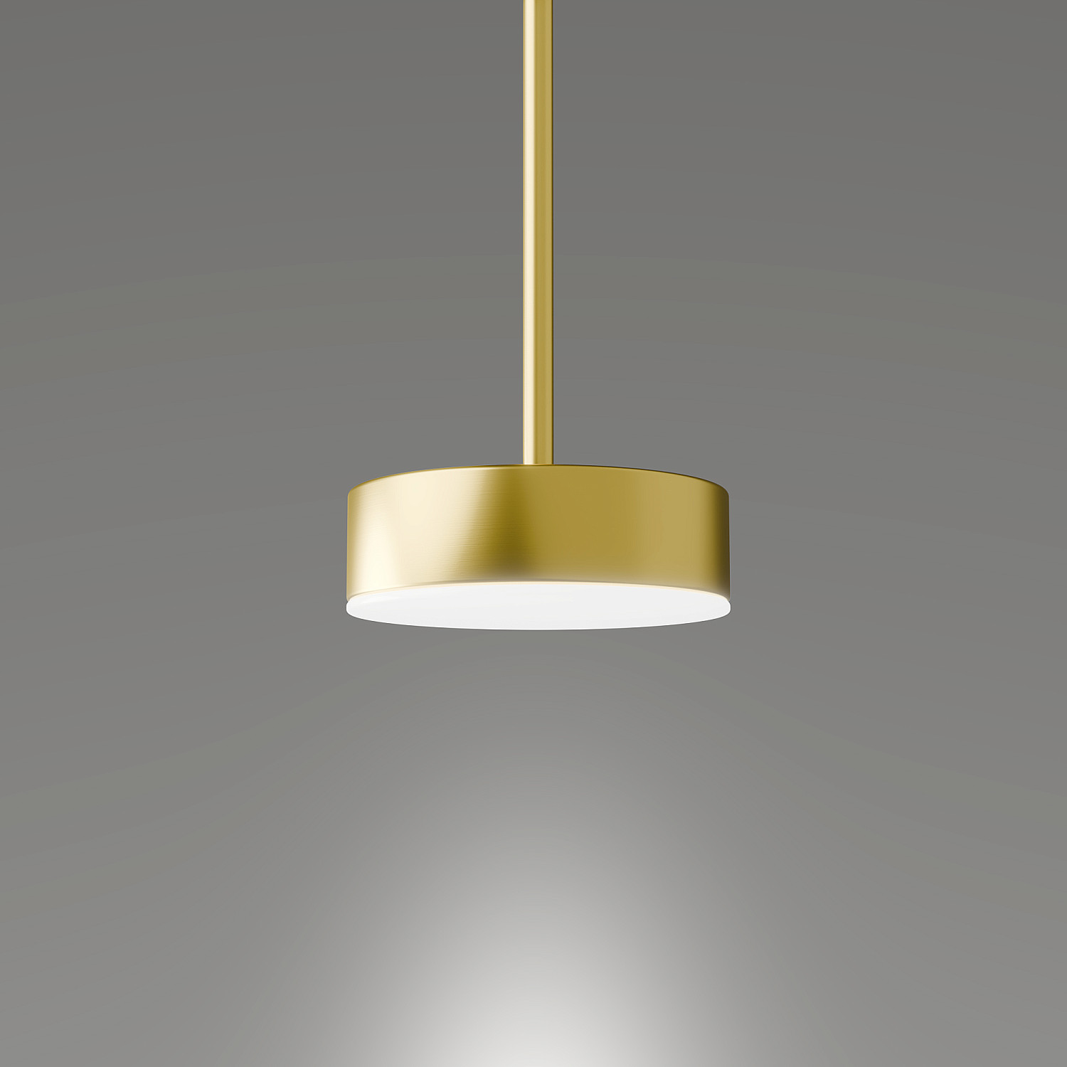 Подвесной светильник LIGHTERA Taylor LE242L-1G