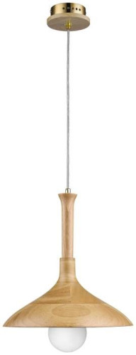 Светильник подвесной Wertmark Plato WE503.01.716