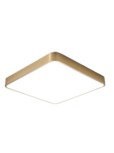 Светильник потолочный Zortes Monna ZRS.1209.03