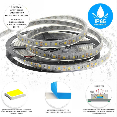Светодиодная лента ST Luce Светодиодные Ленты ST1001.414.65.1