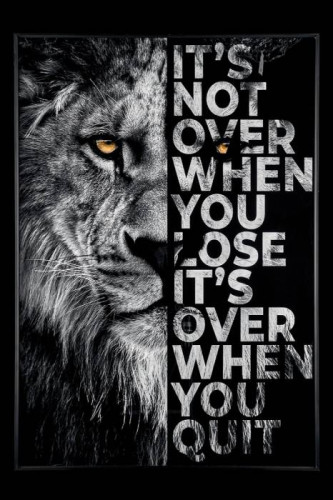 Картина настенная Teona Decor Lion TD112